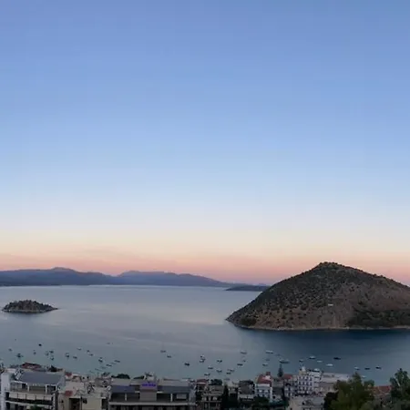 Daphne * Τολό